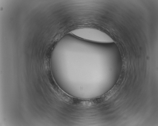 X0000069810272200605190852