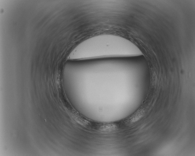 X0000069810274200605190852