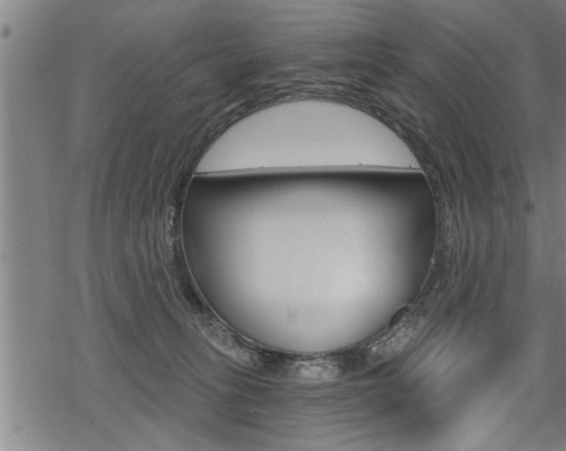 X0000069810275200605190852