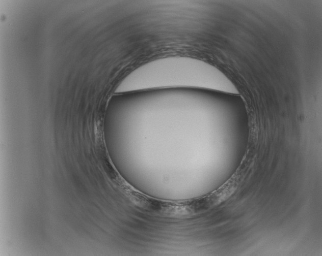 X0000069810276200605190852