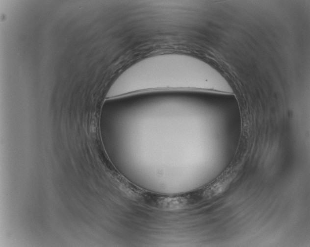 X0000069810277200605190852