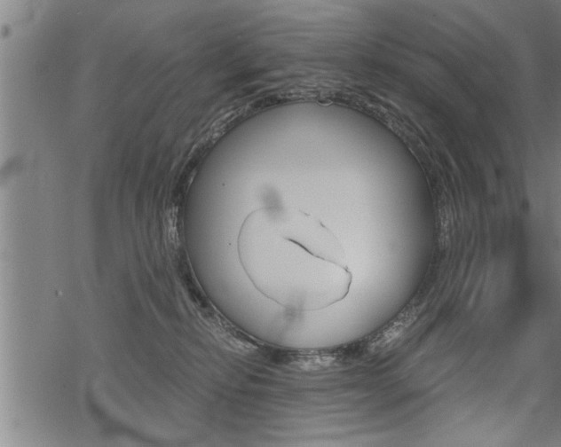 X0000069810278200605190852