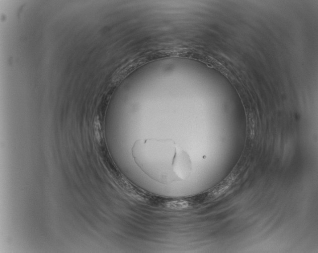 X0000069810279200605190852