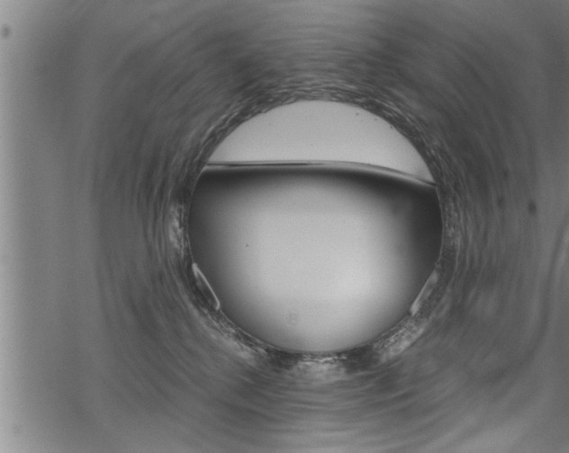 X0000069810280200605190852