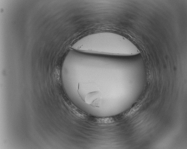 X0000069810281200605190852