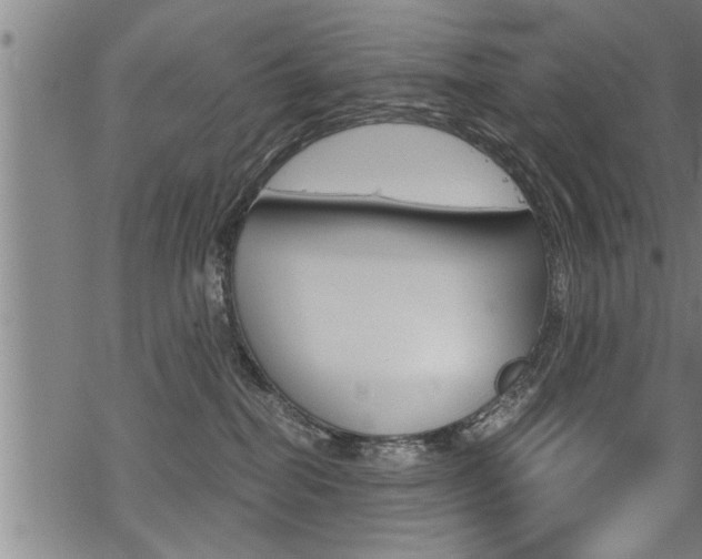 X0000069810282200605190852