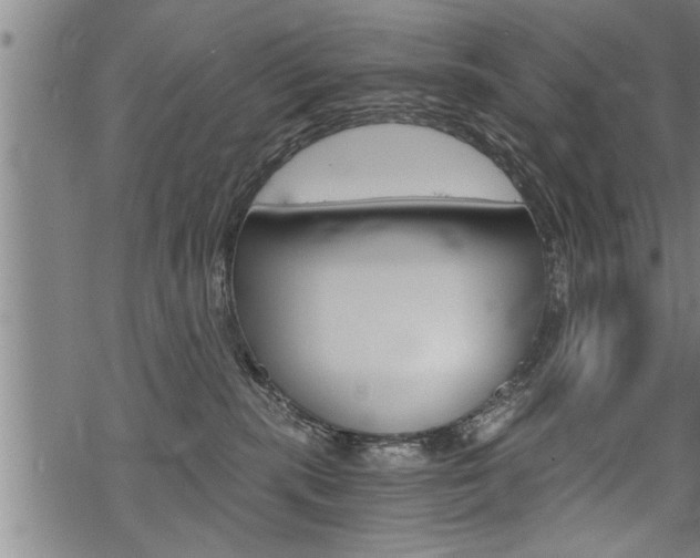 X0000069810283200605190852