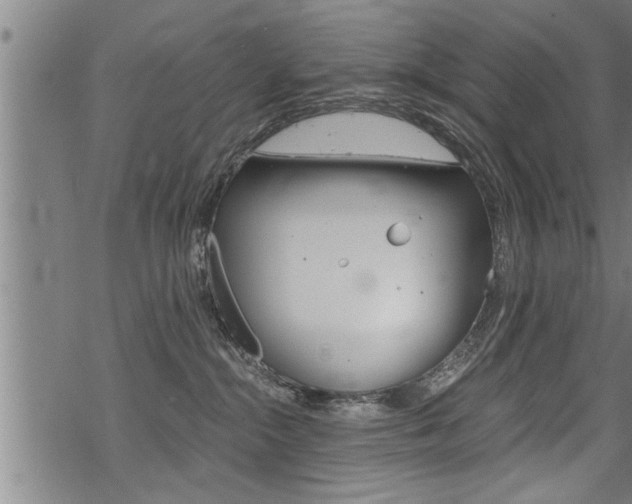 X0000069810284200605190852