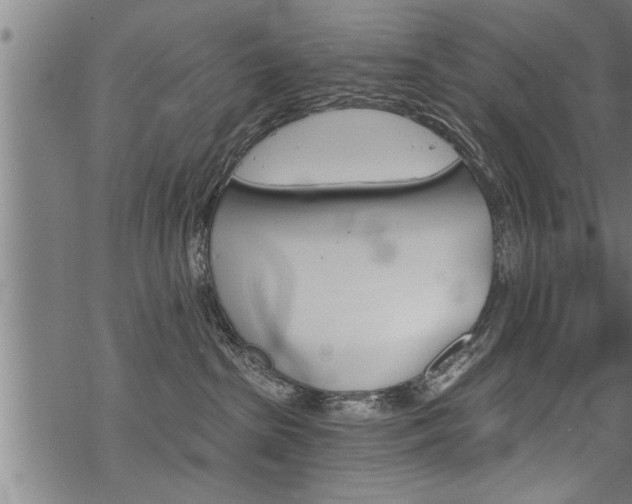 X0000069810285200605190852