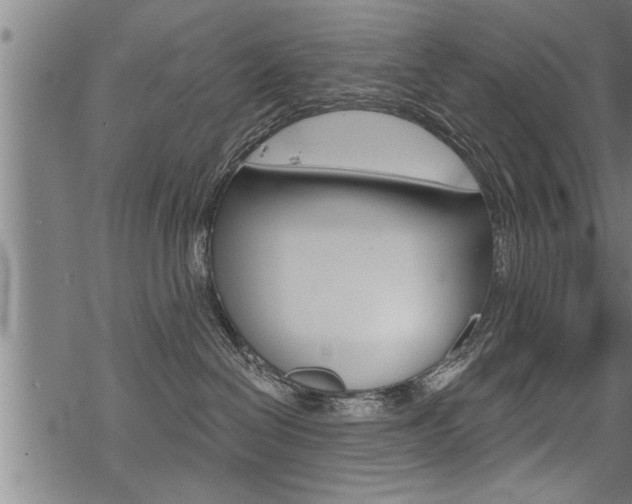 X0000069810286200605190853