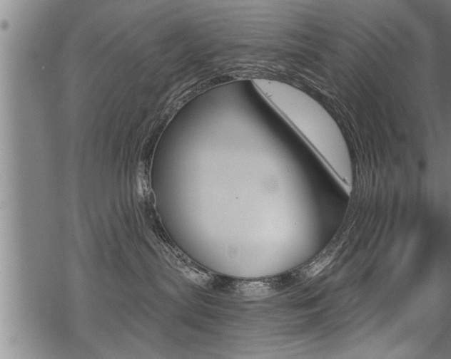 X0000069810287200605190853