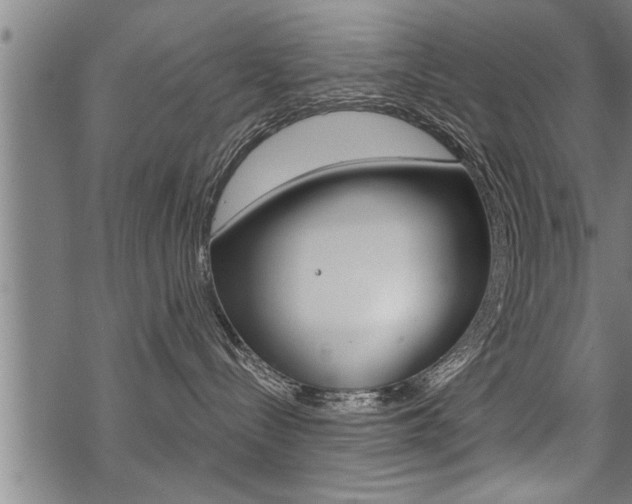 X0000069810288200605190853