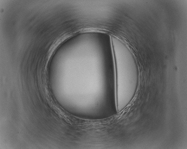 X0000069810289200605190852