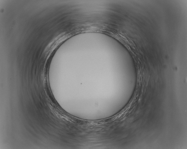 X0000069810290200605190852