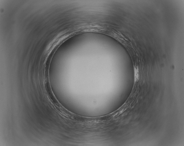 X0000069810291200605190852