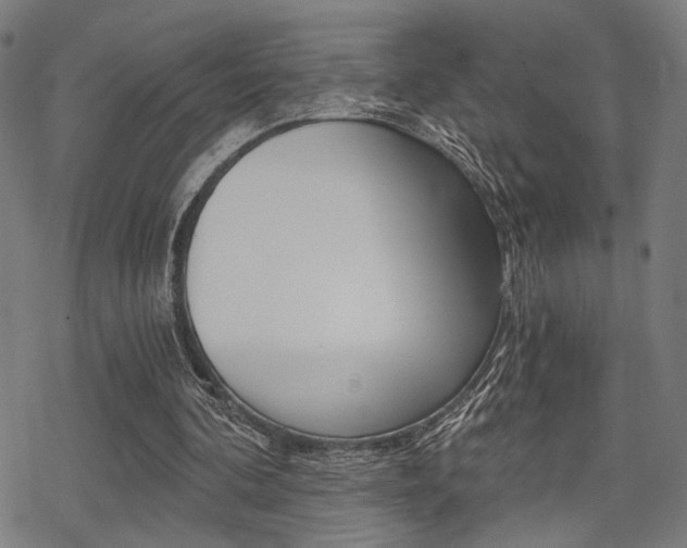 X0000069810292200605190852