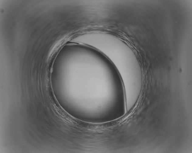 X0000069810293200605190852