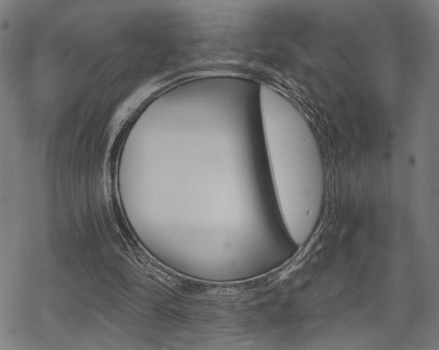 X0000069810294200605190852