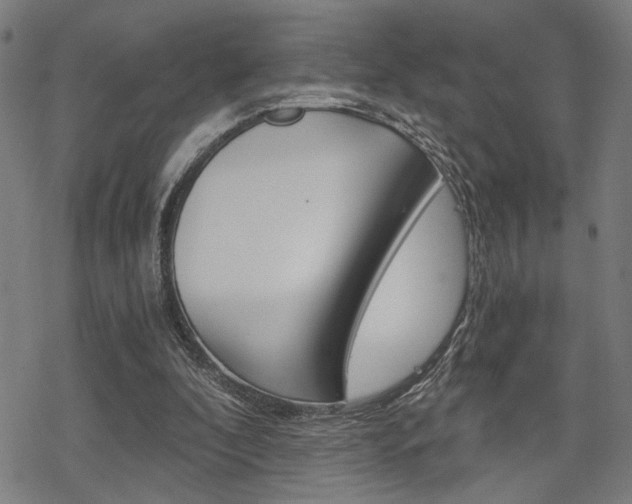 X0000069810296200605190852