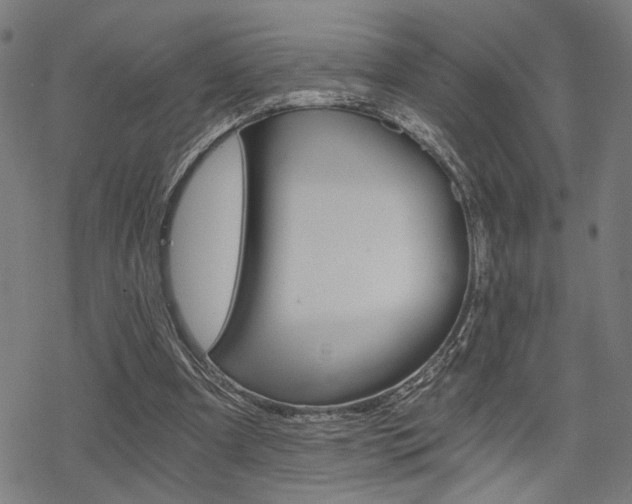 X0000069810297200605190852