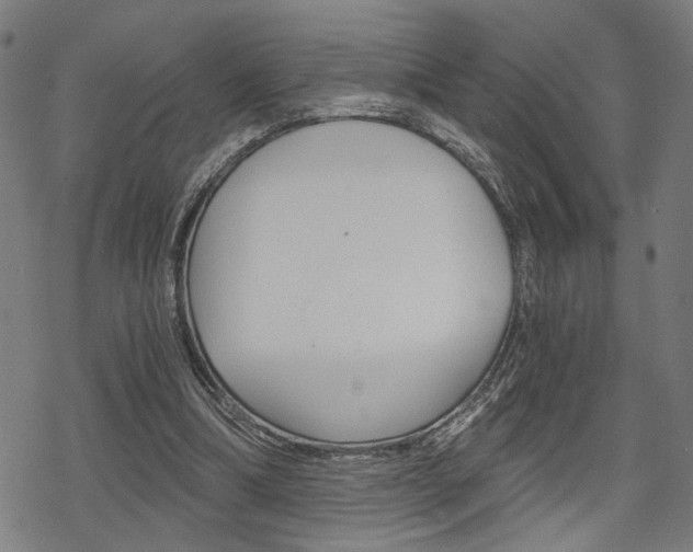 X0000069810298200605190852