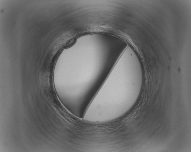 X0000069810299200605190852