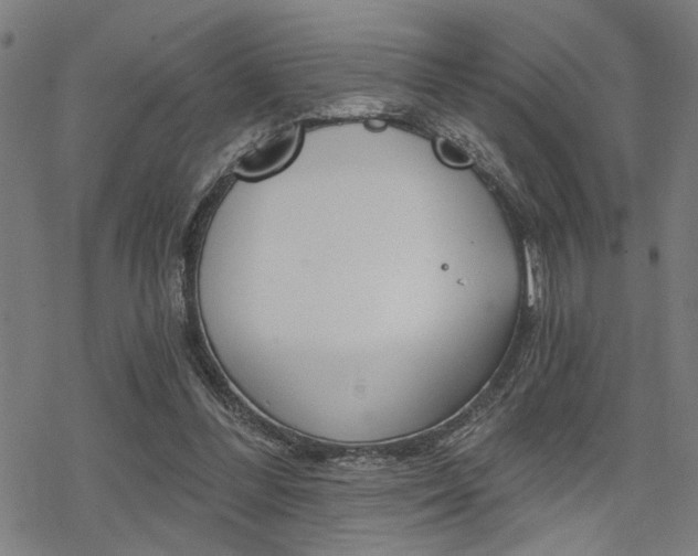 X0000069810300200605190852