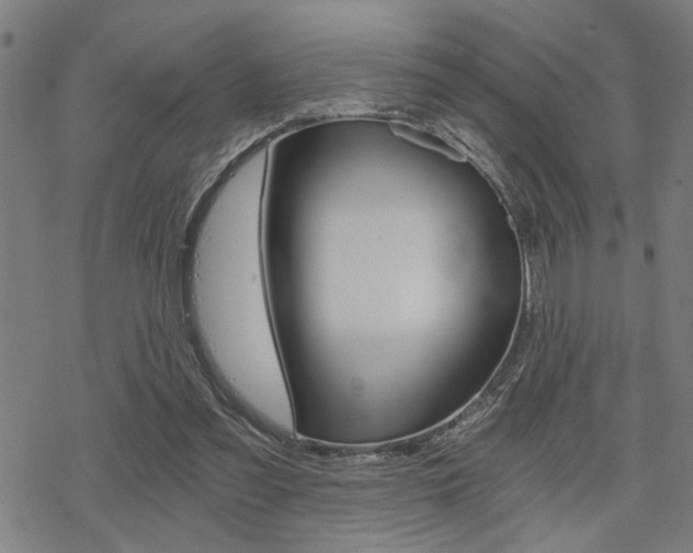 X0000069810301200605190852