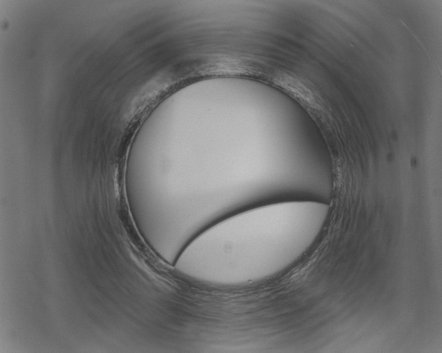 X0000069810302200605190852