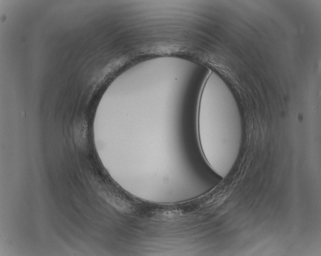 X0000069810304200605190852