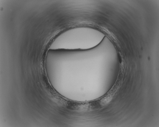 X0000069810306200605190851