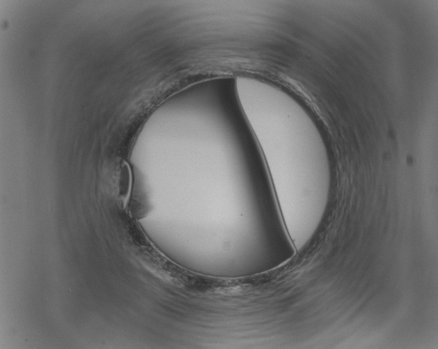 X0000069810307200605190851