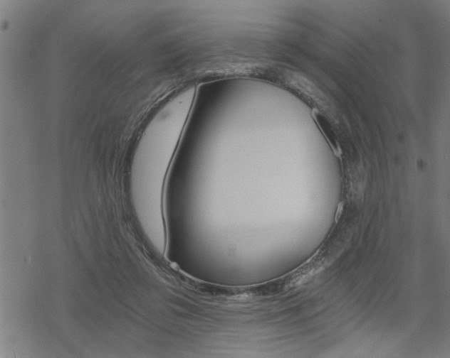 X0000069810309200605190851