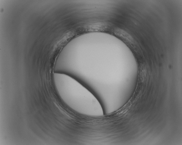 X0000069810310200605190851