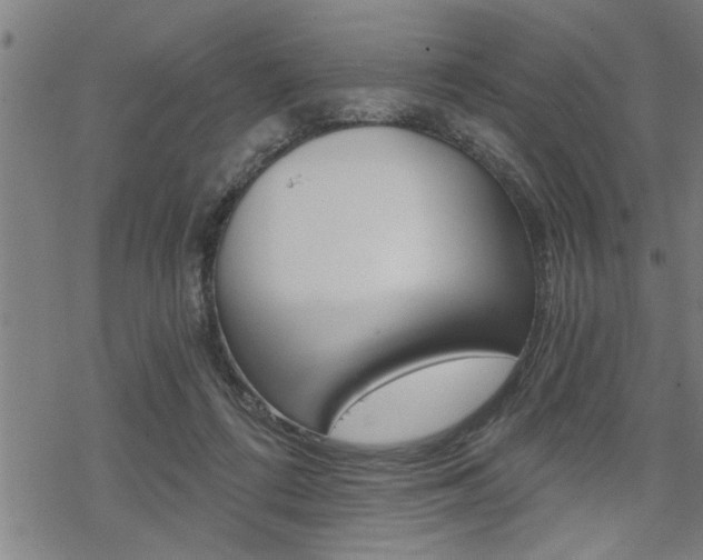 X0000069810312200605190851