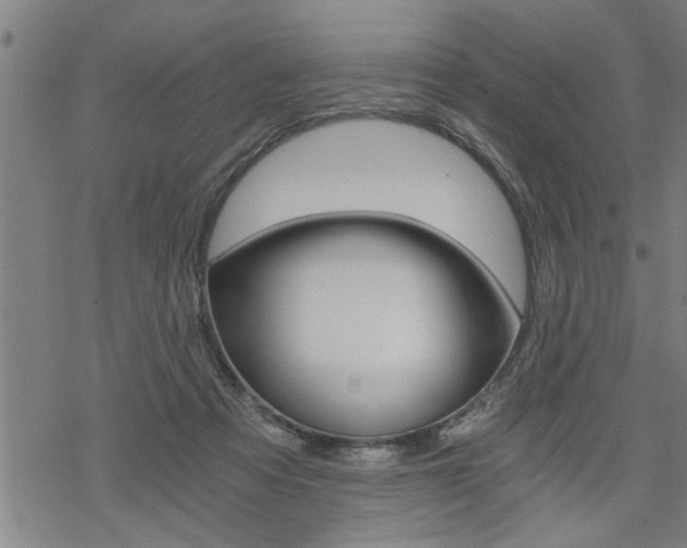 X0000069810313200605190851