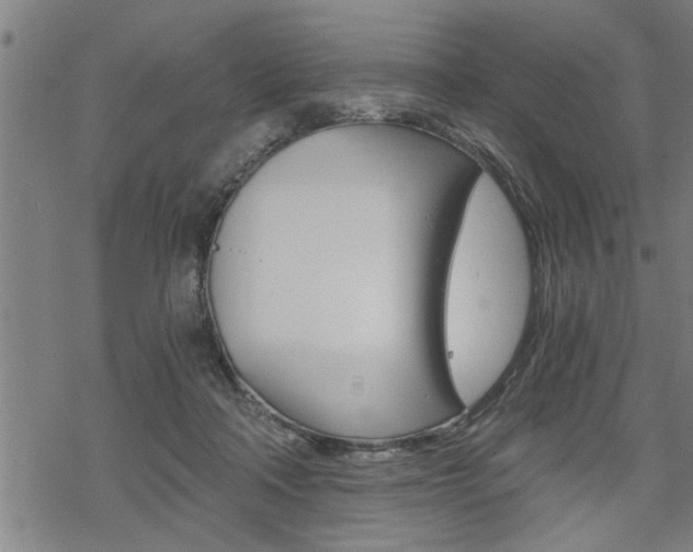 X0000069810314200605190851