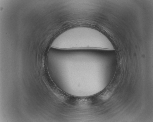 X0000069810315200605190851