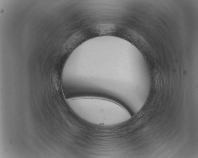 X0000069810316200605190851