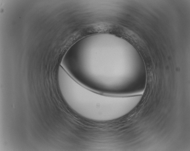 X0000069810317200605190851