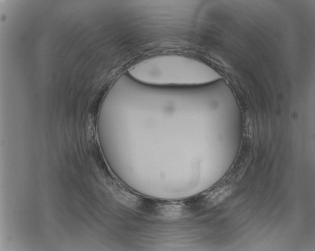 X0000069810318200605190851