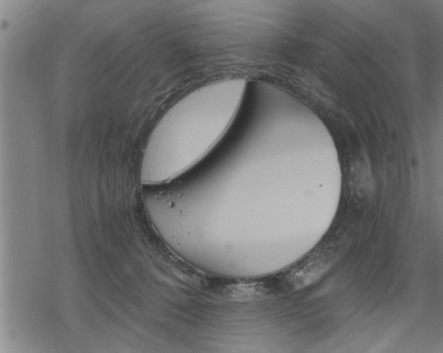 X0000069810320200605190851