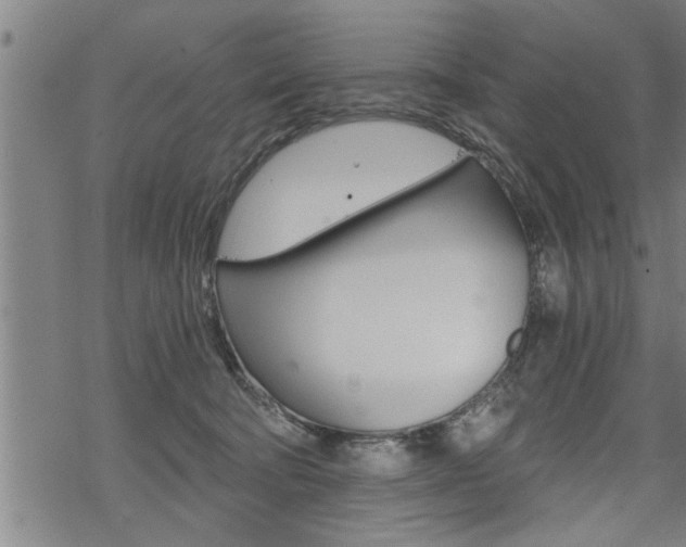 X0000069810322200605190851