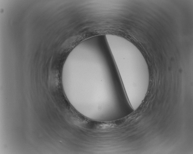 X0000069810323200605190851