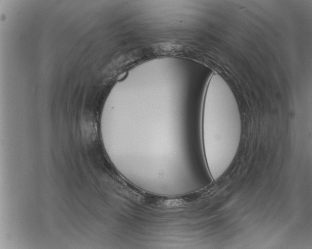 X0000069810324200605190851