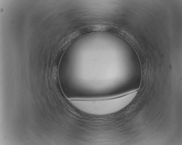 X0000069810325200605190851