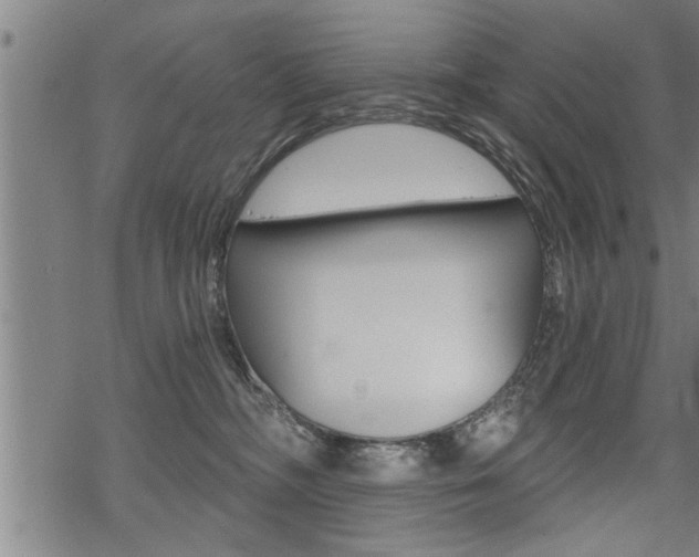 X0000069810326200605190851