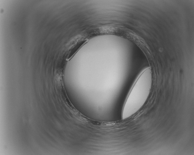 X0000069810329200605190851