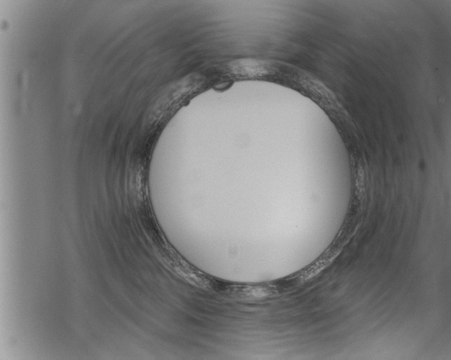 X0000069810330200605190851