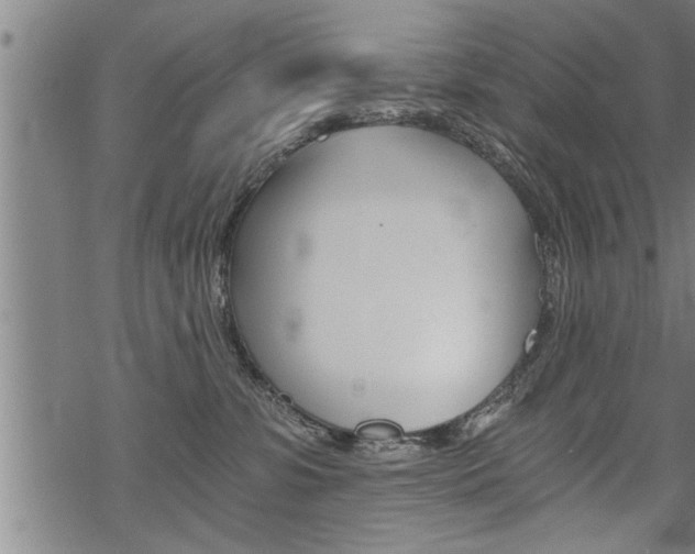 X0000069810331200605190851